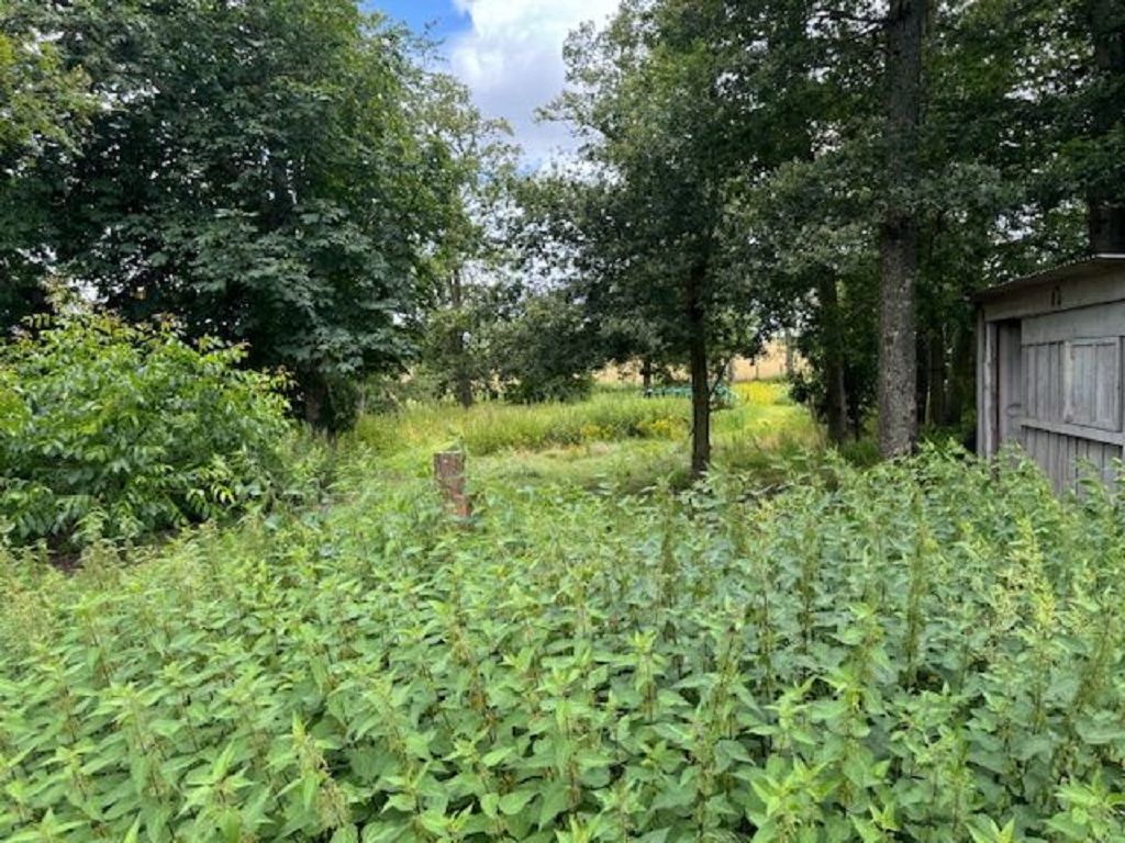 image du bien immobilier Maison de plain pied PARON